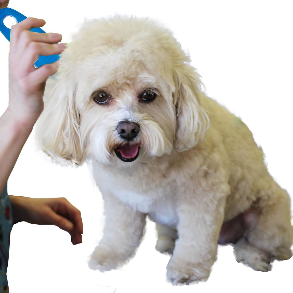 Oster ShedMonster Undercoat Rake Pet Care For Medium to Long Coats | 078279-108