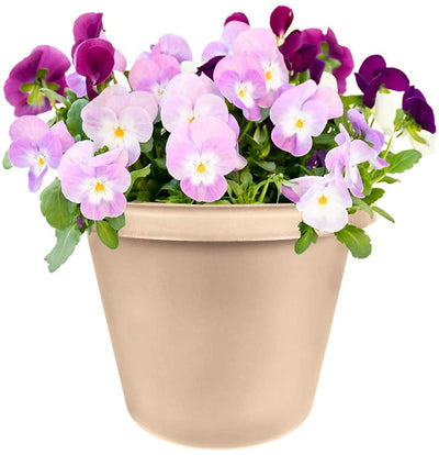 The HC Companies Flower Pot Planter w/ Wakefield 1 Pound Garden Soil Conditioner - VMInnovations