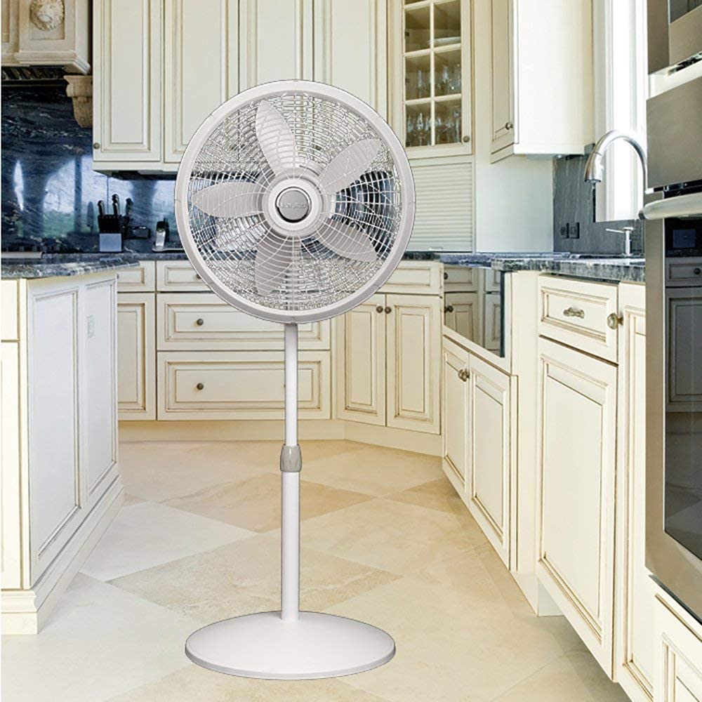 Lasko 18 Inch Elegance and Performance Oscillating Standing Pedestal Fan (Used)