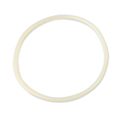 Intex 25003 1500 gal and Below Filter Pump Replacement Seals Pack Parts (2 Pack)