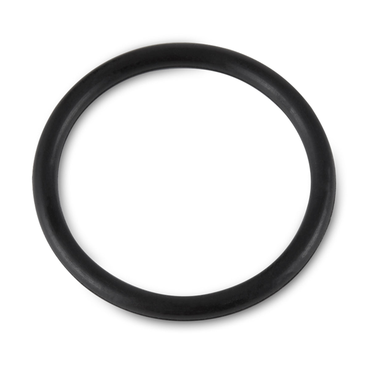 Intex 25003 1500 gal and Below Filter Pump Replacement Seals Pack Parts (6 Pack)