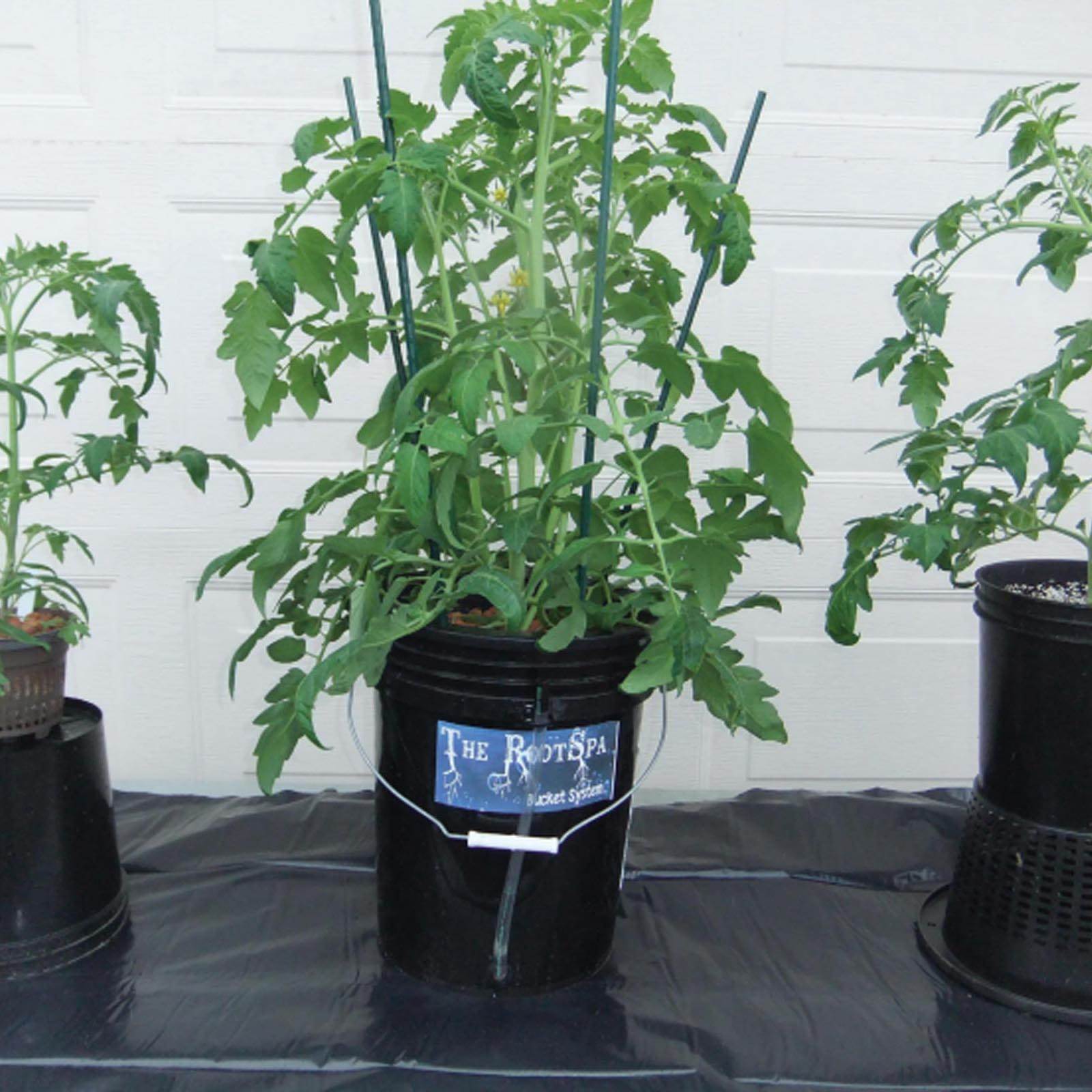 Active Aqua Root Spa 5-Gal Hydroponic Bucket Deep Water Culture System (Used) - VMInnovations