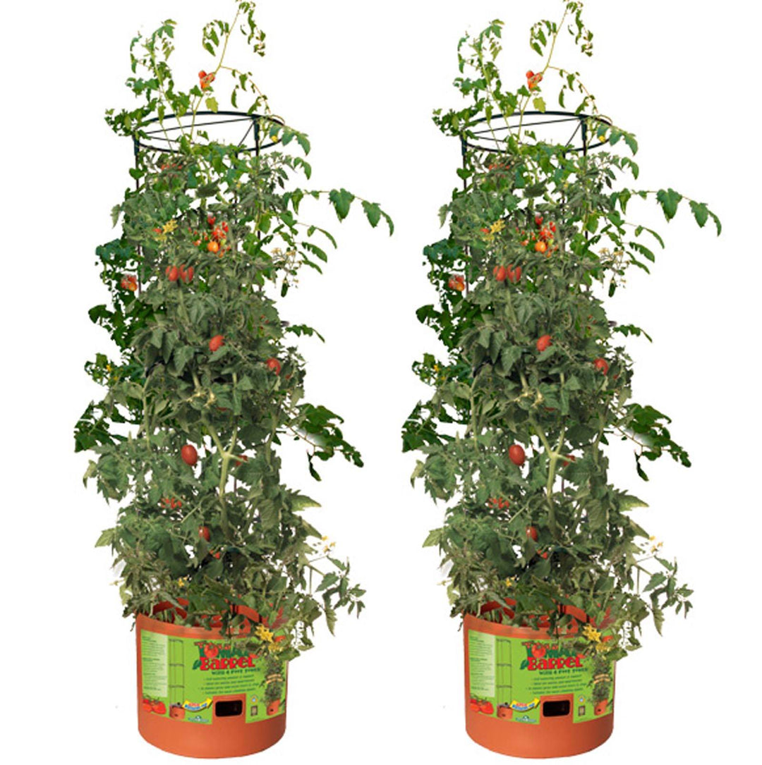 Hydrofarm GCTB Tomato Barrel Pot Garden Planting 4 Foot Trellis System (2 Pack)