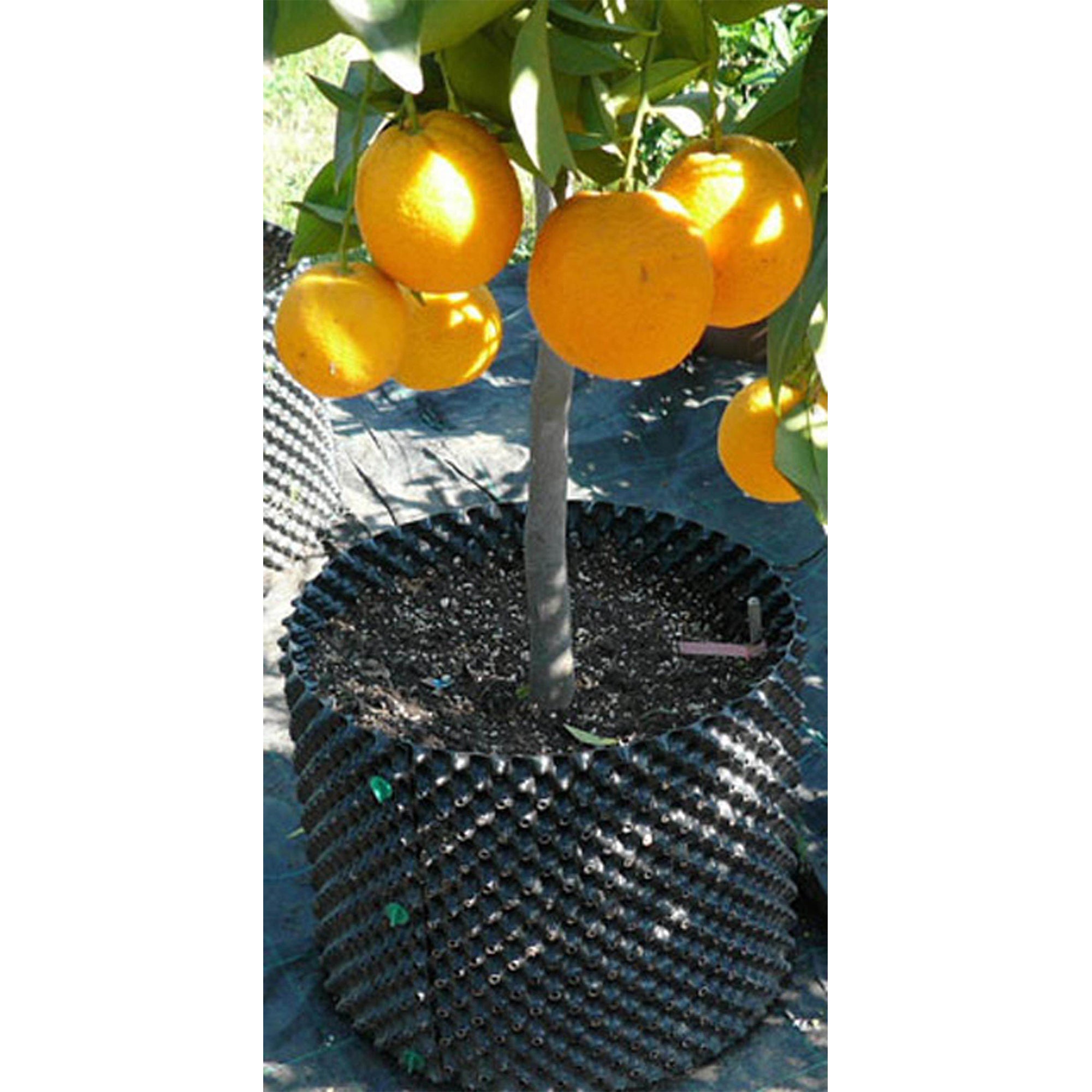 (12) Superoots Air-Pot 0.3 Gallon 1L Garden Propagation Pot Planter Containers