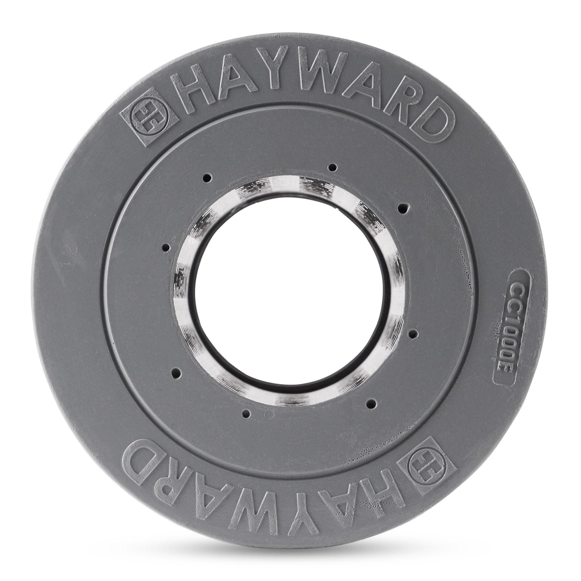 Hayward CCX1000RE 100 Square Foot Replacement Swimming Pool Filter Cartridge - VMInnovations