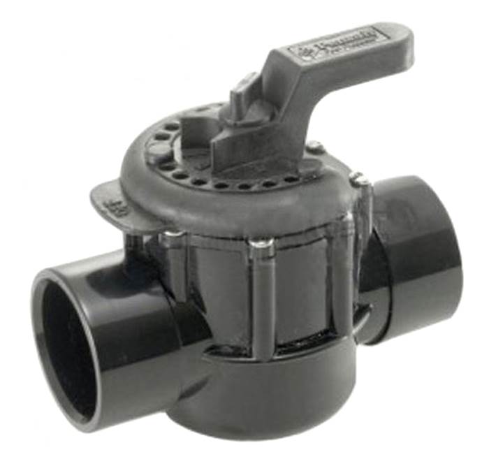 Pentair 2-Way CPVC 2-Inch Swimming Pool High Flow Rate Diverter Valve | 263027