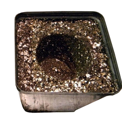 SunGro Black Gold Natural Organic Potting Soil w/ Fertilizer, 2 Cu Ft (10 Pack)