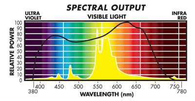 Sunmaster 1000W Yellow Blossom Sodium HPS Grow Light Bulb | (Open Box)