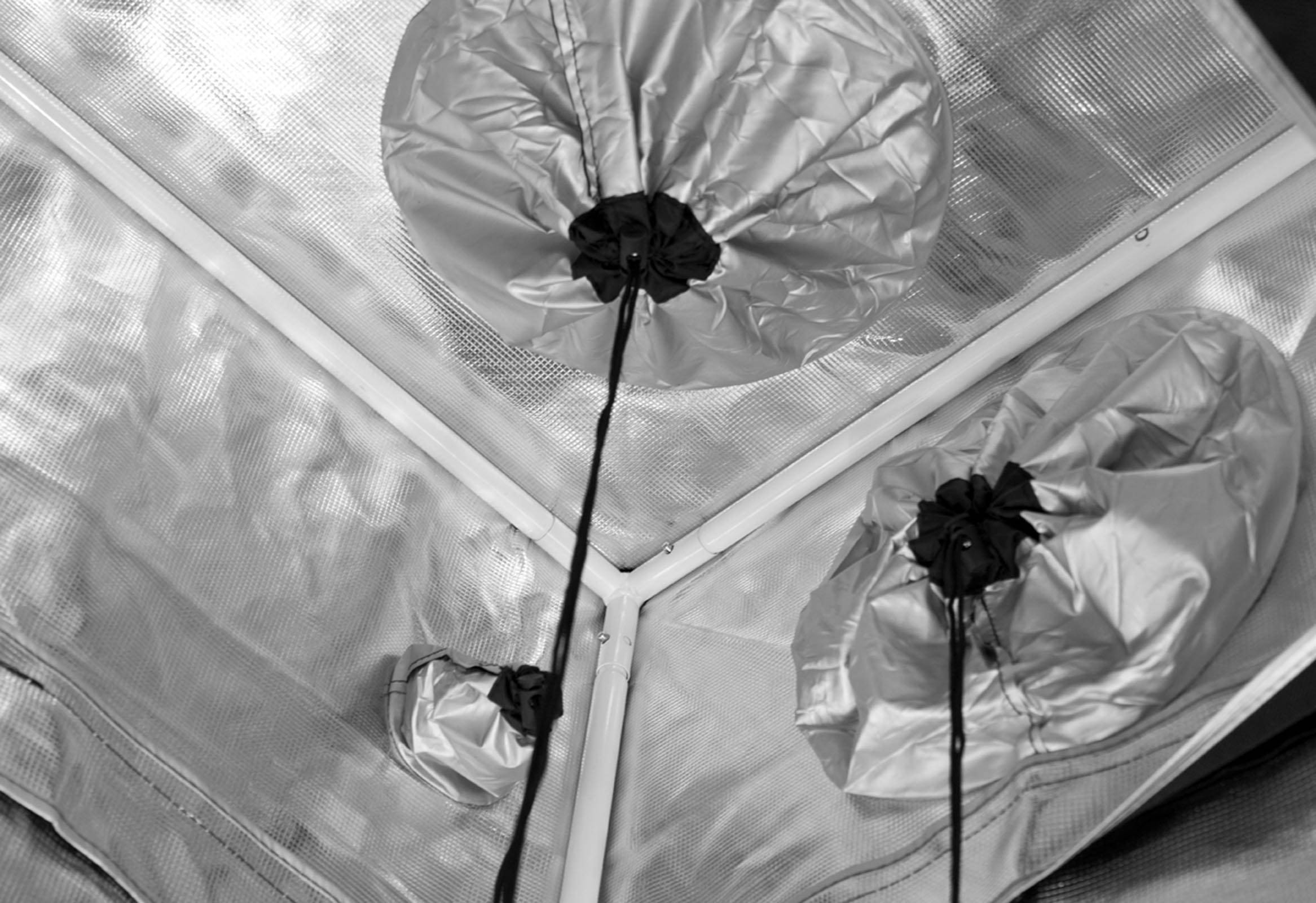 Gorilla Grow Tent 2' x 2.5' Indoor Hydroponic Greenhouse, Pair| GGT22