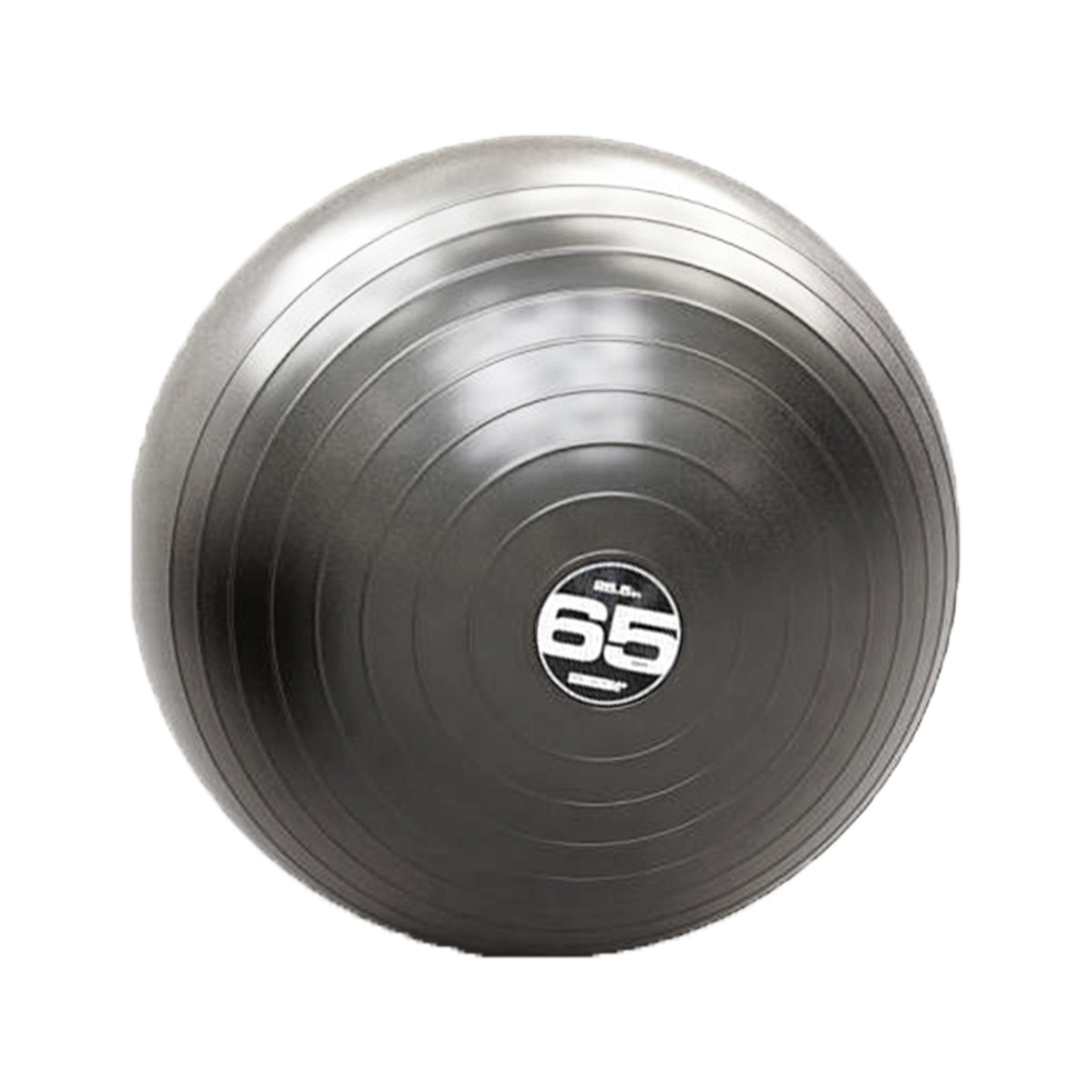 Escape Fitness 65 Cm Steadyball Pro Inflatable Exercise Workout Ball (Used)