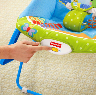Fisher-Price Deluxe Infant-to-Toddler Rocker Bouncer, Elephant Friends | BGB00