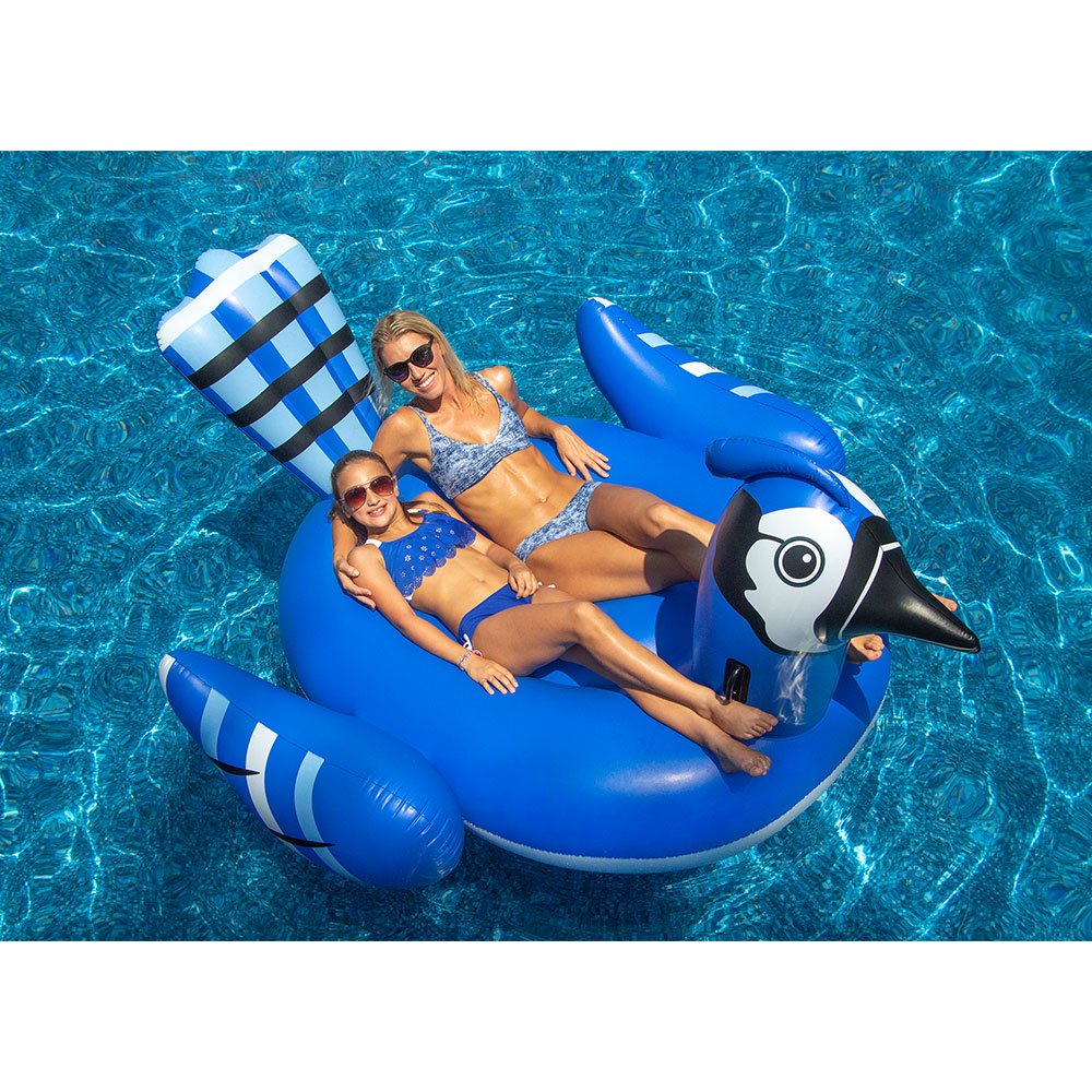 Inflatable Blue Jay Raft Bundled w/ Inflatable Color Changing LED Flamingo Float