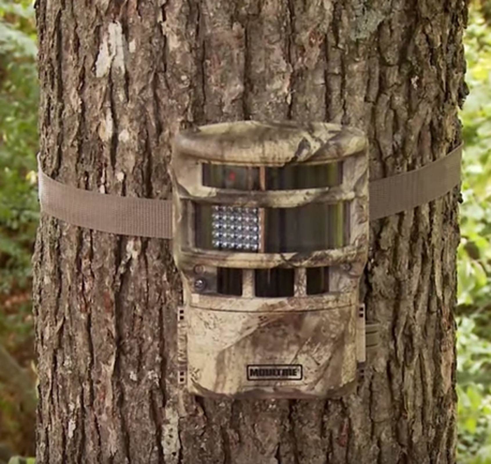 (4) MOULTRIE Game Spy Low Glow Panoramic 150° Infrared Game Cameras + SD Cards