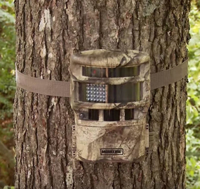 (4) MOULTRIE Game Spy Low Glow Panoramic 150° Infrared Game Cameras + SD Cards