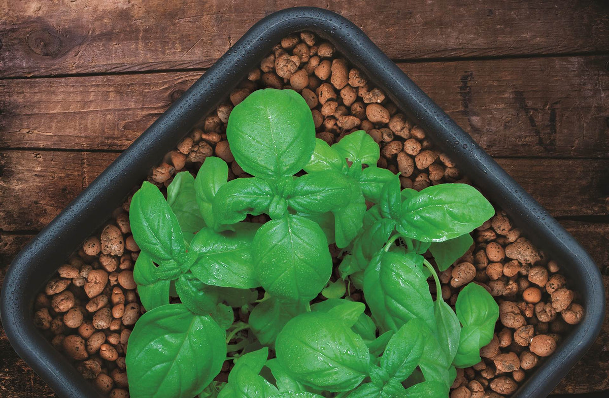 GROW!T GMC25L Hydroponic 100% Natural Clay Pebbles, .90 Cubic Feet/25 Liter Bag (Refurbished)