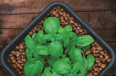 Hydrofarm GROW!T 100% Natural Clay Pebbles, 25-Liter Bag (Open Box)