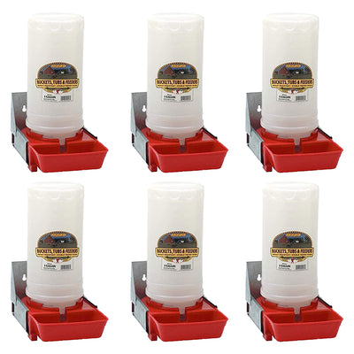 Little Giant 1-Gallon Impact Translucent Polyethylene Piglet Waterer  (6 Pack) - VMInnovations