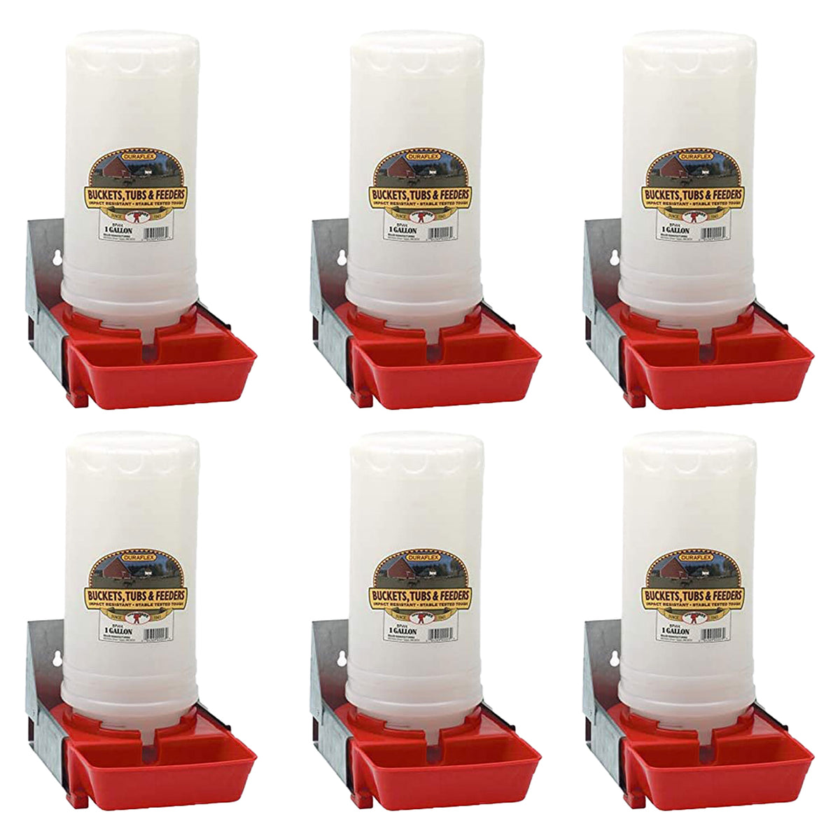 Little Giant 1-Gallon Impact Translucent Polyethylene Piglet Waterer  (6 Pack)