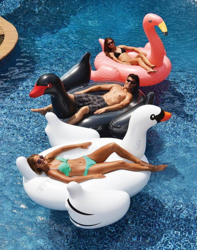 Swimline Swimming Pool Inflatable Cherry Pie Slice Float Raft Fun Toy | 90646 + Swimline 90627 Swimming Pool Inflatable Giant Rideable Pink Flamingo Float Toy