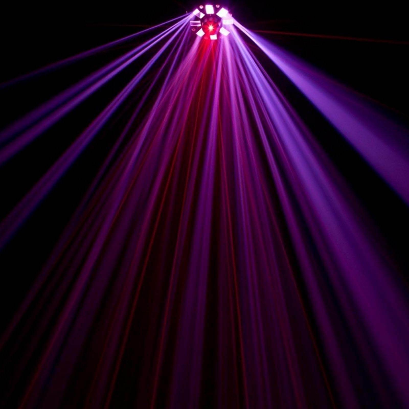 ADJ Stinger DMX Laser, Strobe & Moonflower LED Light + Transport Travel Case