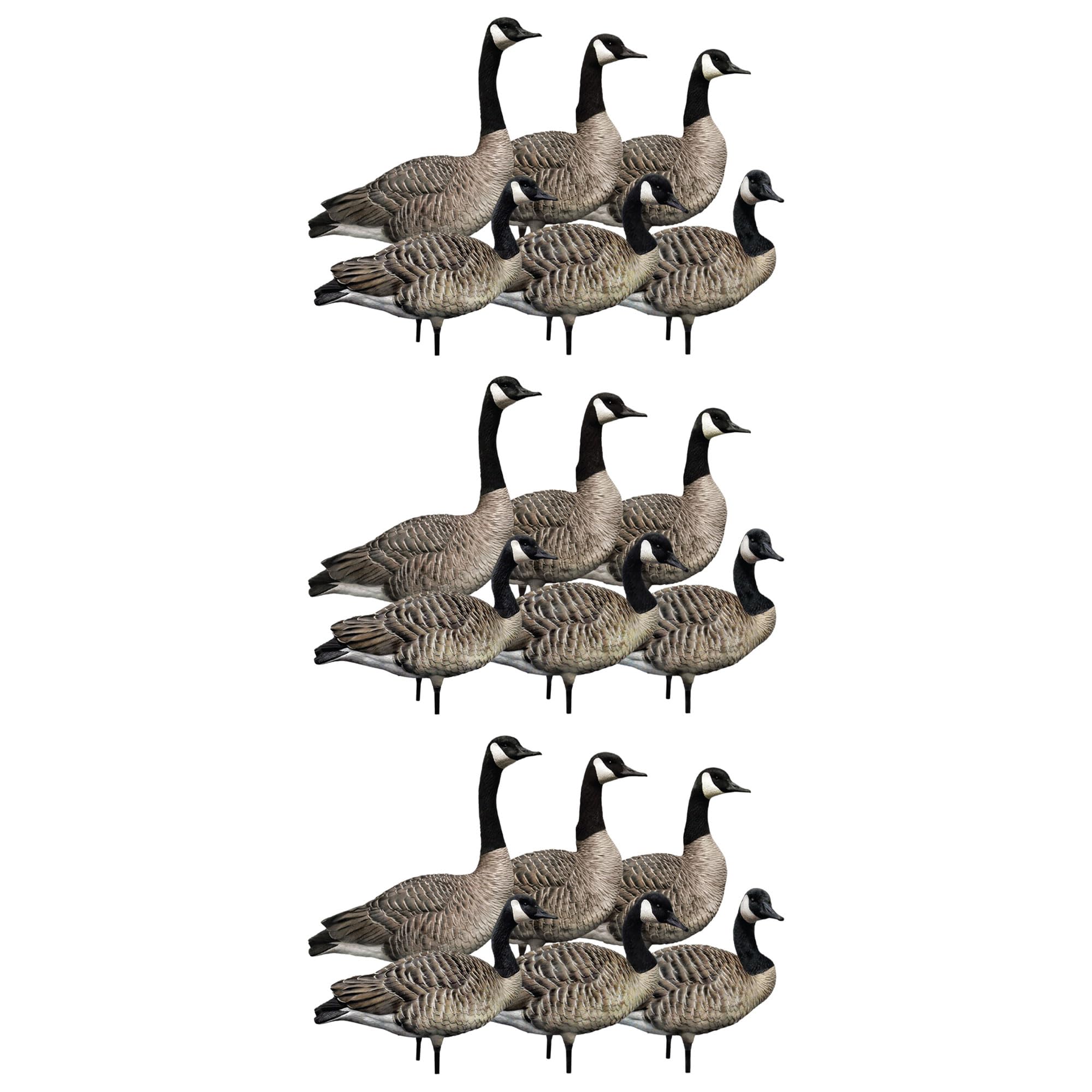 Avian X AXP 6 Piece Honker Sentry Walker Realistic Goose Hunting Decoy, 3 Pack