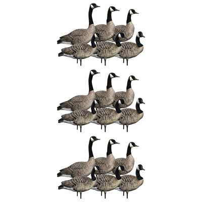 Avian X AXP 6 Piece Honker Sentry Walker Realistic Goose Hunting Decoy, 3 Pack