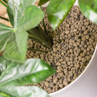 Hydrofarm GROW!T 100% Natural Clay Pebbles, 25-Liter Bag (Open Box)
