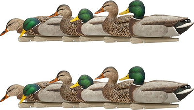 Avian X Topflight Realistic Floating Rugged Fusion Mallard Decoy Set, 12 Pack