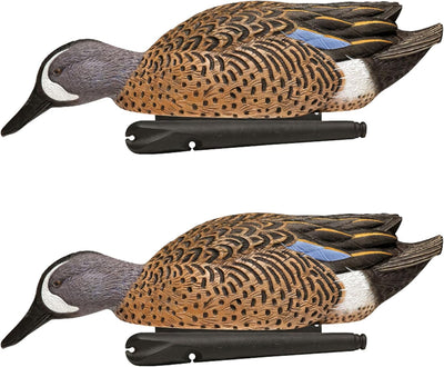 Avian X Topflight Blue-Winged Teal Duck, Realistic Floating Duck Decoy, Set of 2