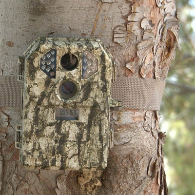 Stealth Cam 7MP Infrared Hunting Scouting Game Trail Camera w/ SD Card | P18CMO