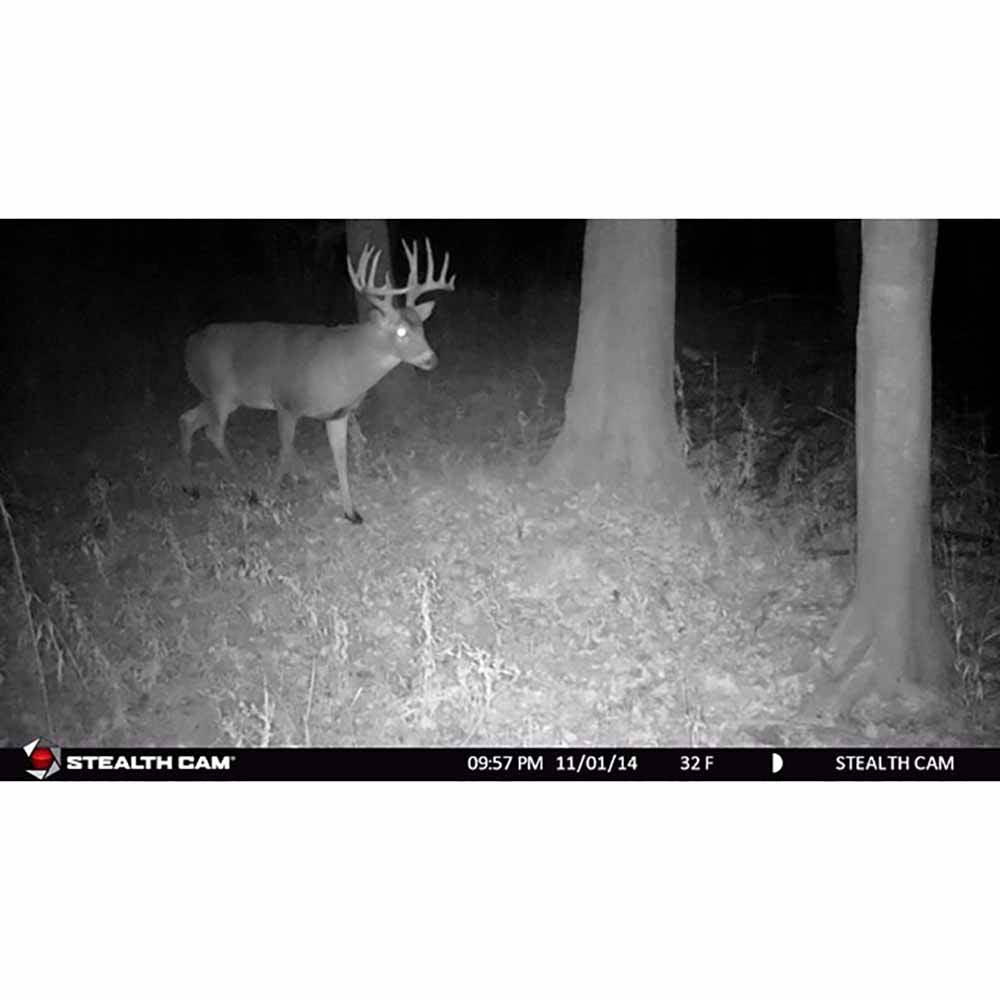 Stealth Cam 8MP Infrared Hunting Scouting Game Trail Camera w/ HD Video | G30