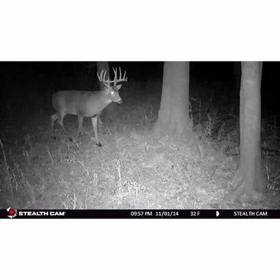 Stealth Cam 8MP Infrared Hunting Scouting Game Trail Camera w/ HD Video | G30