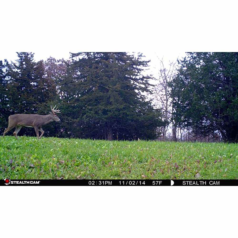 Stealth Cam 8MP Infrared Hunting Scouting Game Trail Camera w/ HD Video | G30