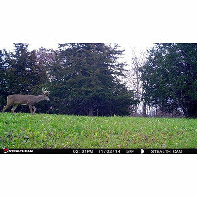 Stealth Cam 8MP Infrared Hunting Scouting Game Trail Camera w/ HD Video | G30