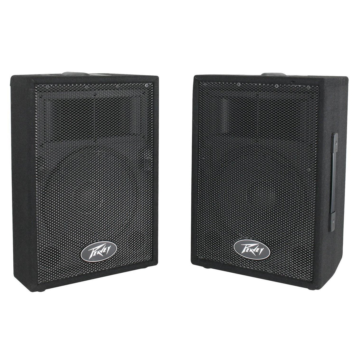 Peavey DJ 2-Way 100 Watt PA Speaker System with 10" Woofers (2 Speakers) | Used