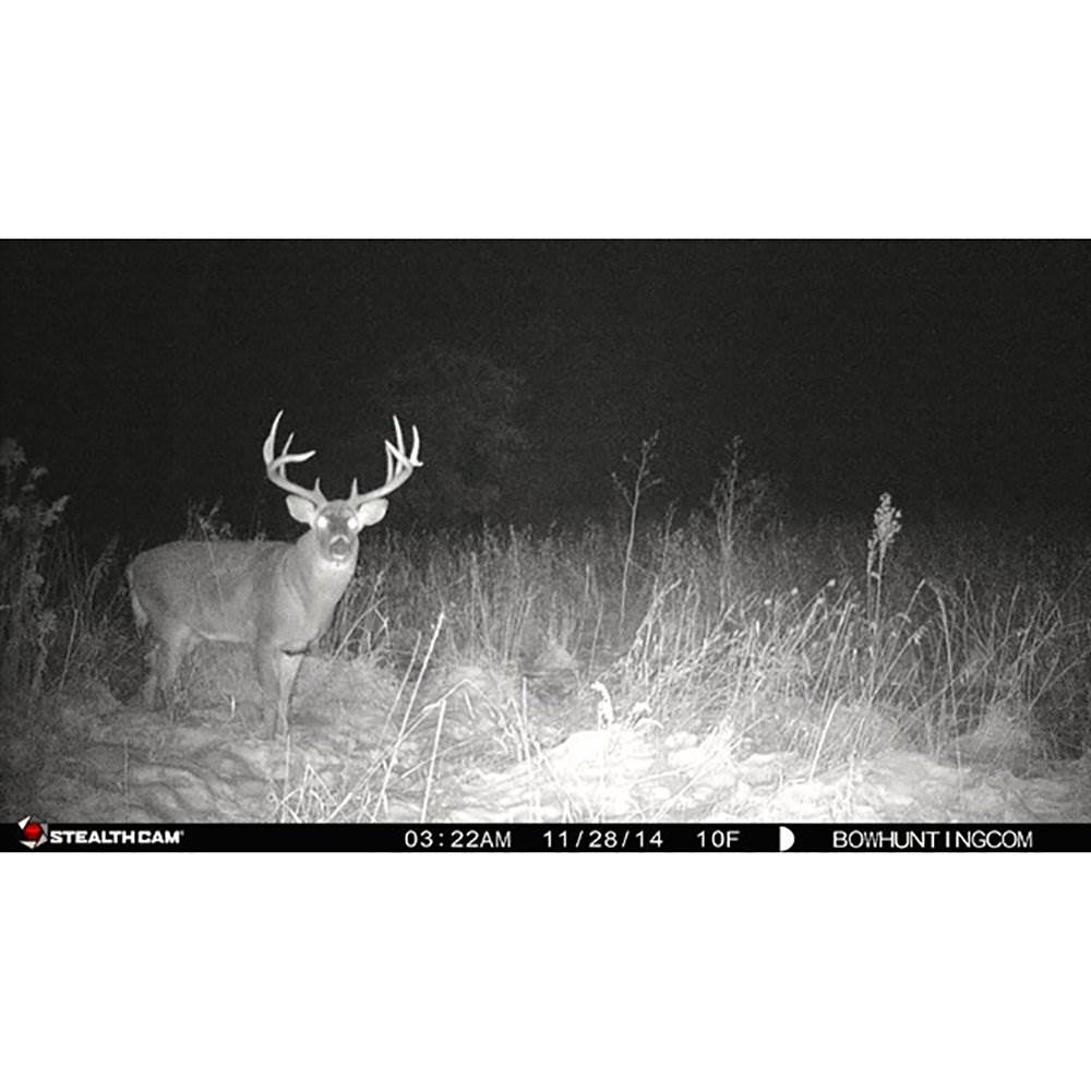 Stealth Cam ZX36NG 10MP No Glo Infrared Game Trail Scouting Camera Kit +SD Card