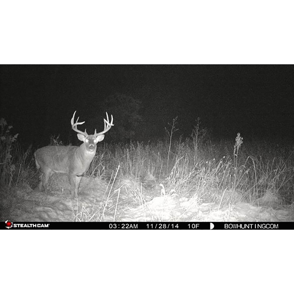Stealth Cam ZX36NG 10MP Infrared Trail Camera (2 Pack) + Security Box (2 Pack)