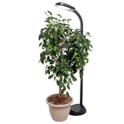 Hydrofarm Agrobrite 27 Watt Indoor Adjustable Standing Plant Lamp Light (Used)