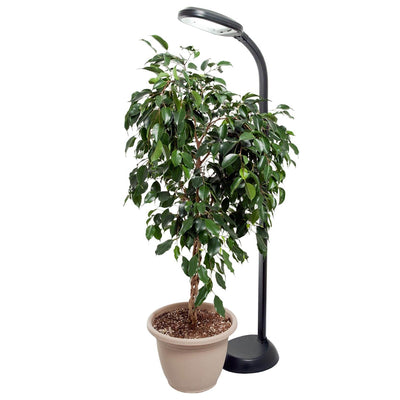 Agrobrite Hydrofram FLF27DF 27W Indoor Adjustable Standing Plant Lamp Light