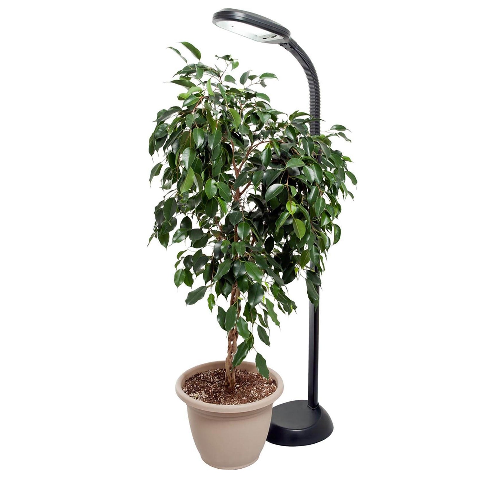 Hydrofarm Agrobrite 27 Watt Indoor Adjustable Standing Plant Lamp | Open Box - VMInnovations