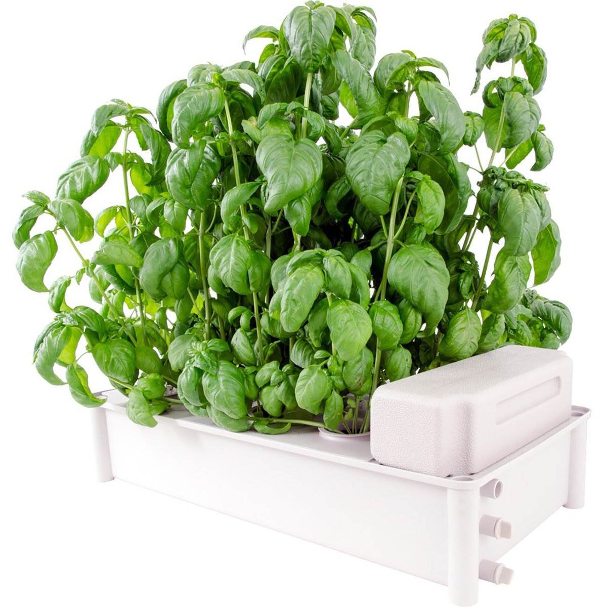 Hydrofarm Hydroponic Soil-Free Salad Greens Box Garden Growing Kit (Open Box)