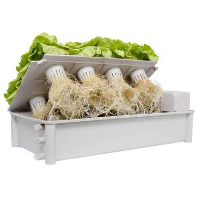 Hydrofarm Hydroponic Soil-Free Salad Greens Box Garden Growing Kit (Open Box)