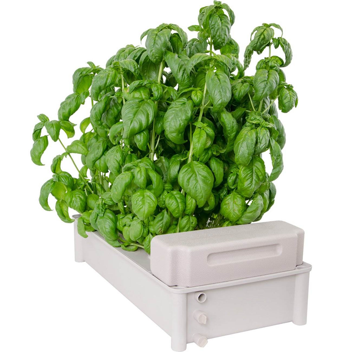 Hydrofarm Hydroponic Soil-Free Salad Greens Box Garden Growing Kit (Open Box)