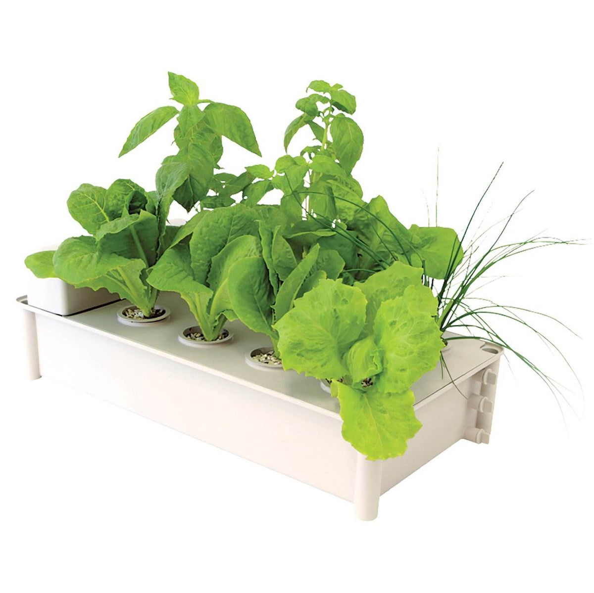 Hydrofarm Hydroponic Soil-Free Salad Greens Box Garden Growing Kit (Open Box)