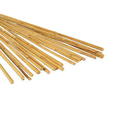 Hydrofarm HGBB4 4-Foot High Strength Natural Finish Bamboo Stakes, 25 Pack(Used)