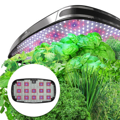 Miracle-Gro AeroGarden 7-Pod Extra Indoor LED Light System w/ Seed Kit (2 Pack)