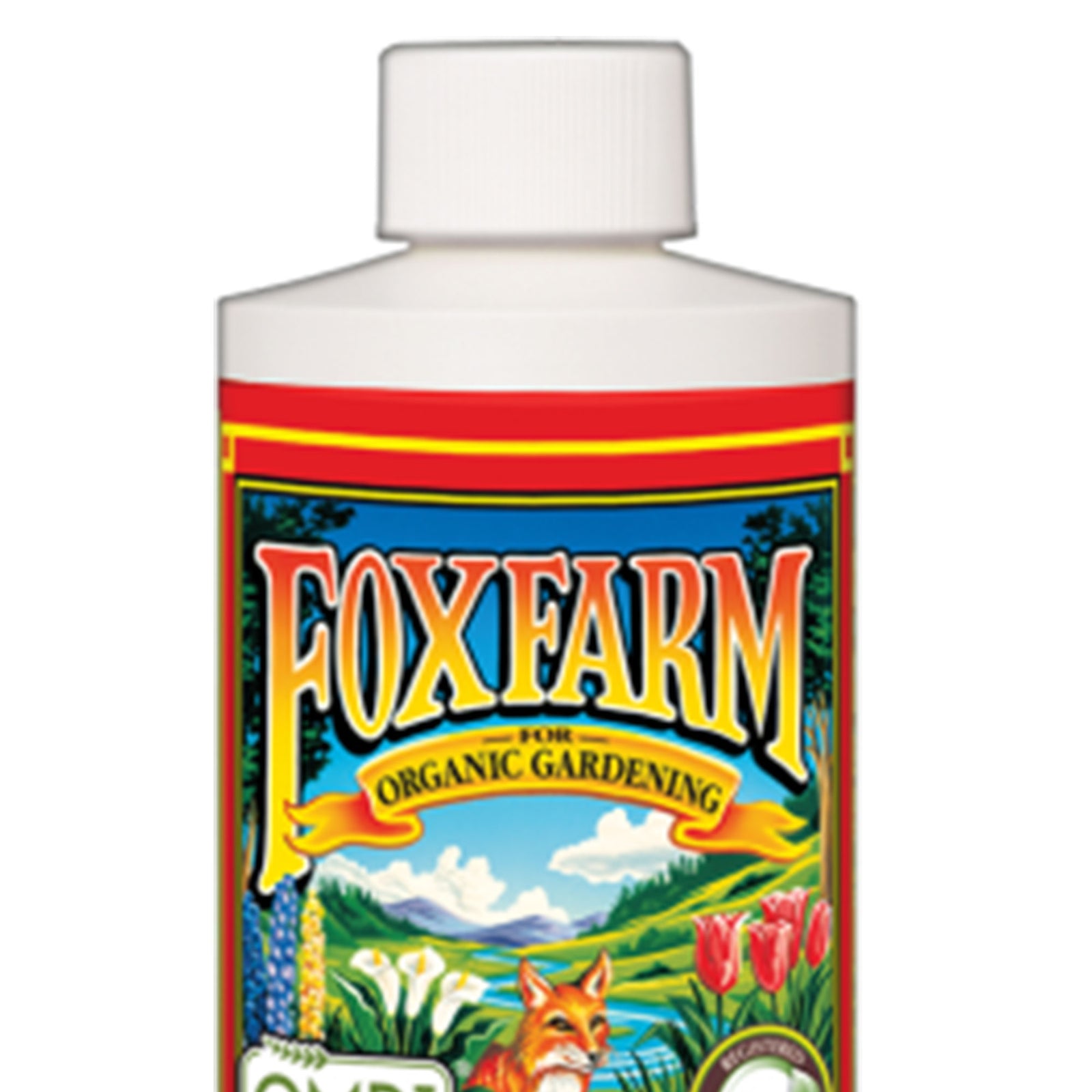 FoxFarm FX14091 Big Bloom Liquid Concentrate Organic Plant Food, 1 Pint - VMInnovations