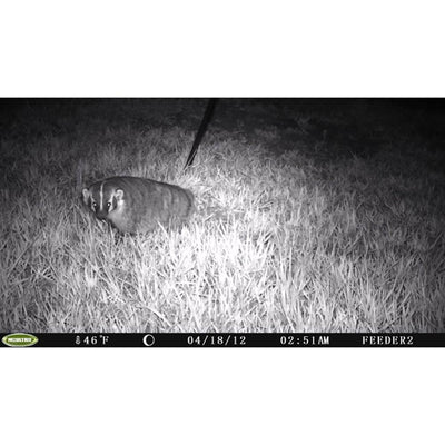 Moultrie I-35 4.0MP 50-Foot Game Trail Camera, 2 Pack (Certified Refurbished)
