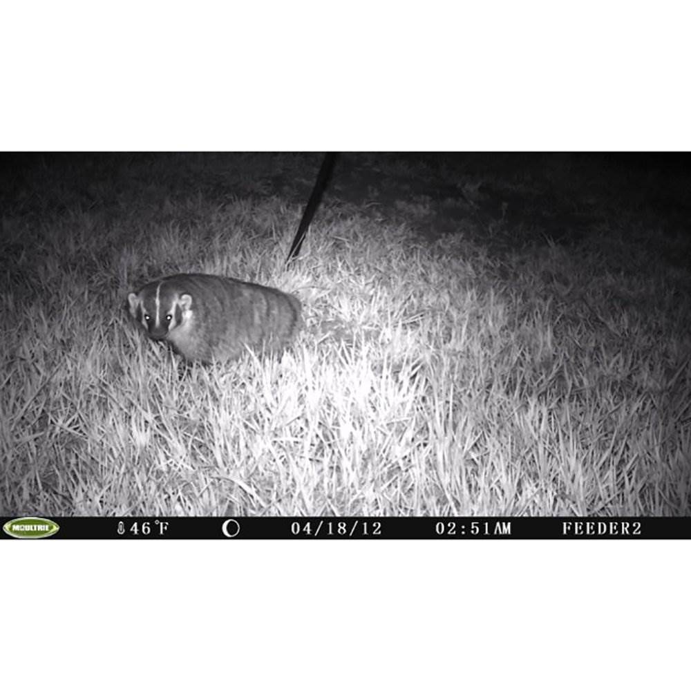Moultrie I-35 4.0MP 50-Foot Game Trail Camera, 4 Pack (Certified Refurbished)