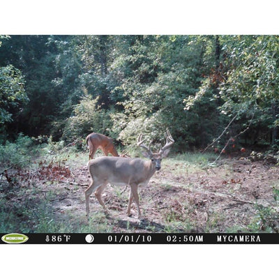 Moultrie I-35 4.0MP 50-Foot Game Trail Camera, 10 Pack (Certified Refurbished)